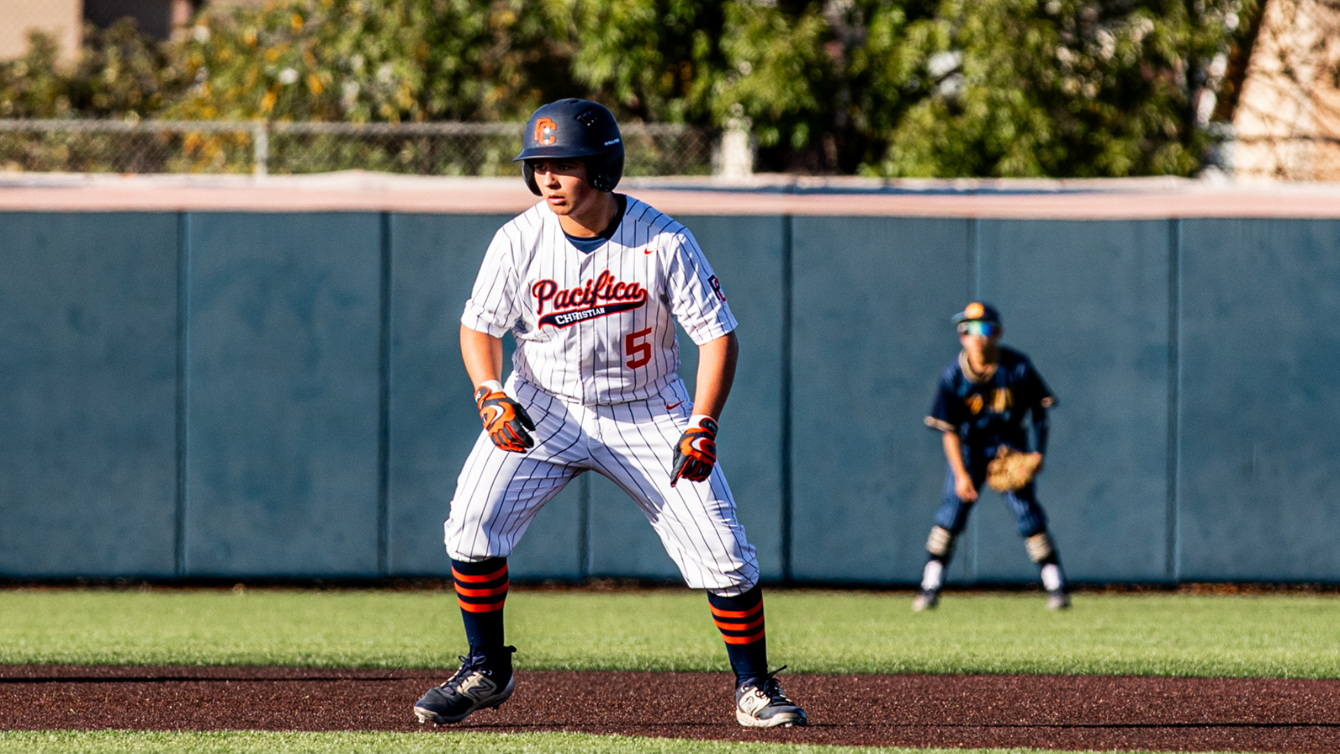 Baseball Season 2024-2025 Outlook