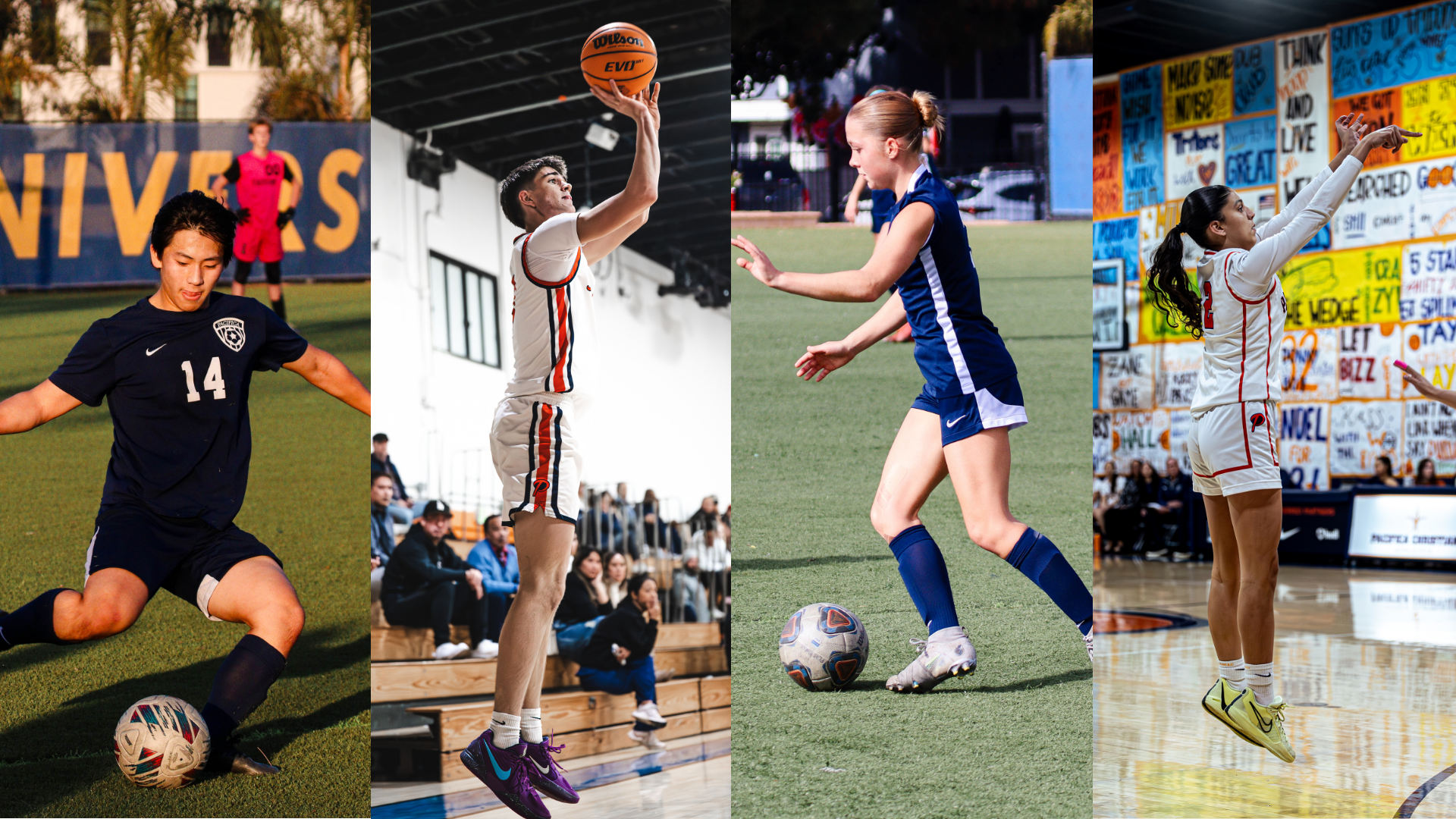 All Four Teams Qualify for Postseason!